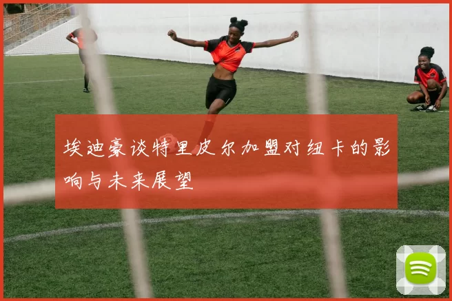 埃迪豪谈特里皮尔加盟对纽卡的影响与未来展望